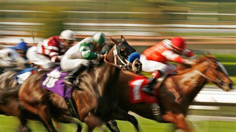 gg co uk|horse race meetings today uk.
